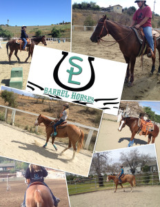 SL-Barrel-Horses