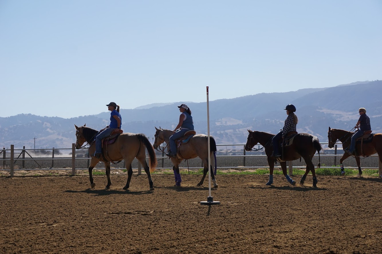 Arena Etiquette SLBH Equine Body Work