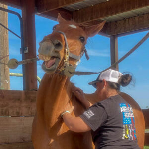 Horse sticking his tongue out because massage feels good